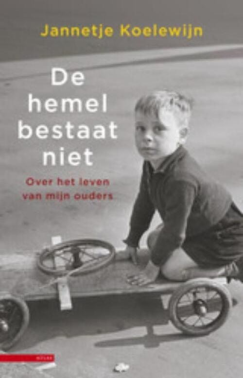 Foto van De hemel bestaat niet - jannetje koelewijn - ebook (9789045019857)