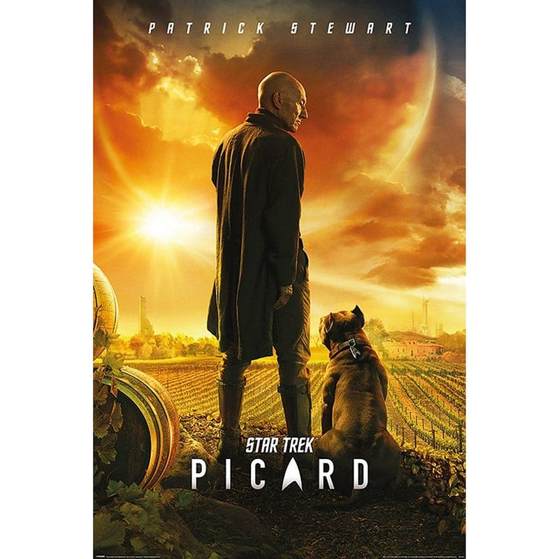 Foto van Pyramid star trek picard picard number one poster 61x91,5cm