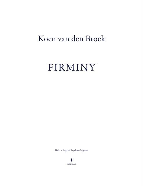 Foto van Koen van den broek. firminy - paperback (9789463939348)