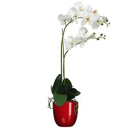 Foto van Orchidee kunstplant wit - 62 cm - inclusief bloempot donkerrood glans - kunstplanten