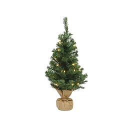 Foto van Everlands mini kerstboom 60cm met verlichting groen