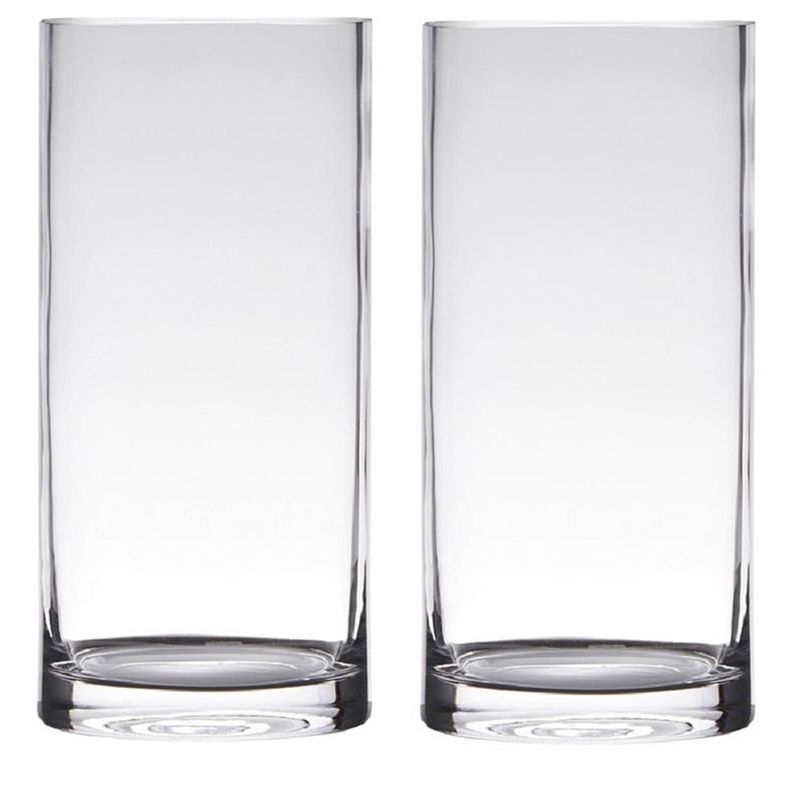 Foto van Set van 2x stuks transparante home-basics cylinder vorm vaas/vazen van glas 20 x 12 cm - vazen