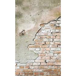 Foto van Dimex grunge wall vlies fotobehang 150x250cm 2-banen