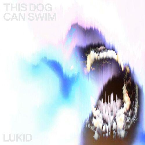 Foto van This dog can swim - 12 inch vinyl;12 inch vinyl (5021392779263)