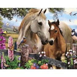 Foto van Diamond painting pakket prachtige paarden - volledig - full- 30x25 cm - seos shop ®