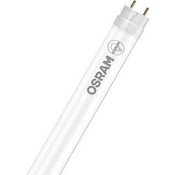 Foto van Osram led- energielabel: e (a - g) g13 t8 conventioneel voorschakelapparaat, verliesarm voorschakelapparaat 6.6 w neutraalwit (ø x l) 26.7 mm x 603 mm 1 stuk(s)