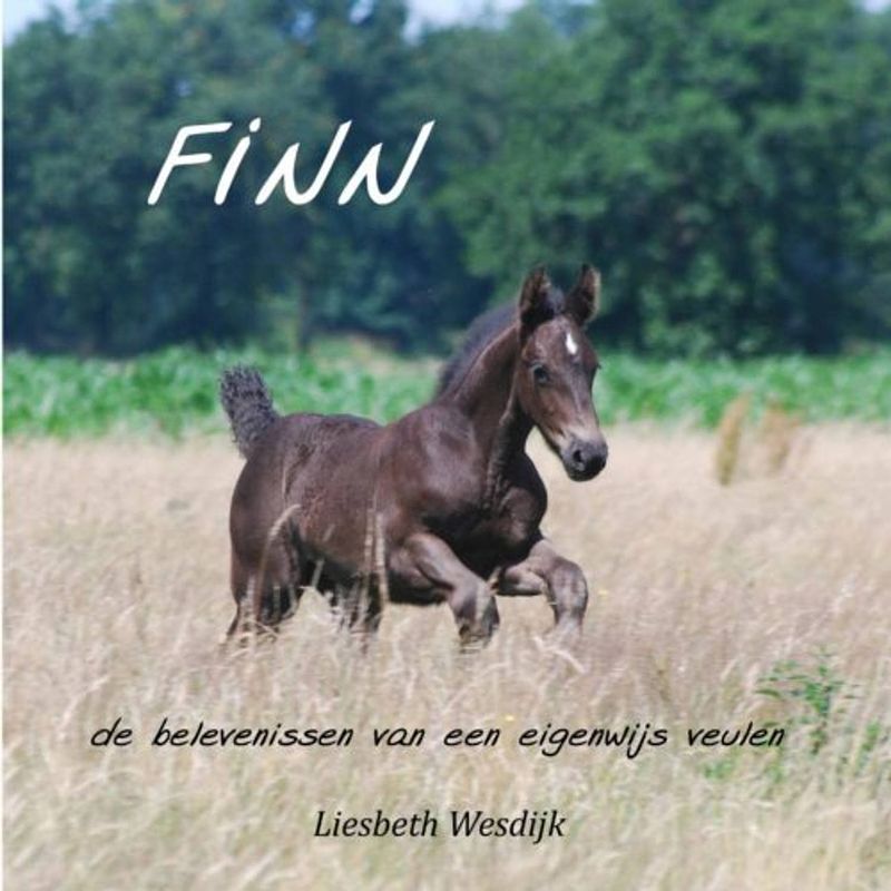 Foto van Finn