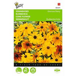 Foto van 2 stuks rudbeckia hirta gloriosa daisy gemengd