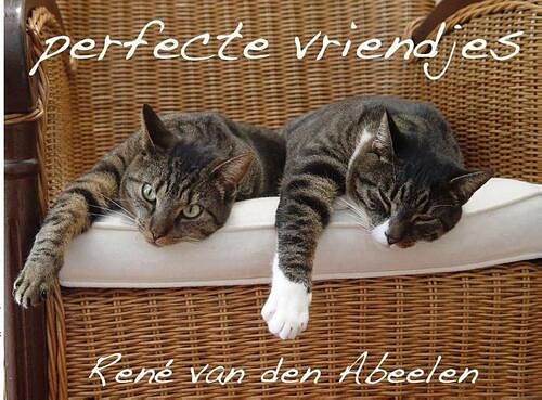 Foto van Perfecte vriendjes - rené van den abeelen - paperback (9789402121117)