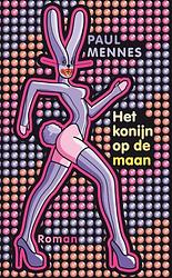 Foto van Het konijn op de maan - paul mennes - ebook (9789038893525)