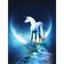 Foto van Diamond painting pakket unicorn with the moon - volledig - full - 25x30 cm - seos shop ®
