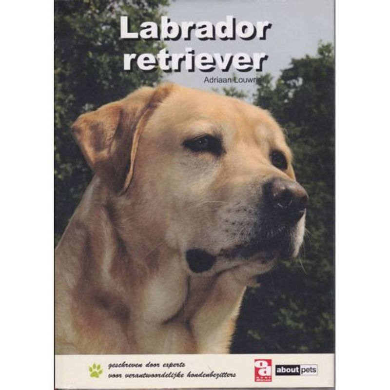 Foto van Labrador retriever - over dieren