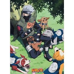 Foto van Abystyle naruto kakashi and dogs poster 38x52cm