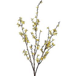 Foto van Decoratieve tak forsythia geel - 76 cm