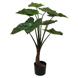 Foto van Emerald kunstplant in pot alocasia 90 cm