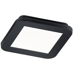 Foto van Led plafondlamp - badkamerlamp - trion camy - opbouw vierkant 9w - spatwaterdicht ip44 - dimbaar - warm wit 3000k - mat