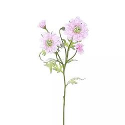 Foto van Buitengewoon de boet - scabiosa tak licht roze 60 cm kunstplant