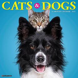Foto van Cats and dogs kalender 2023