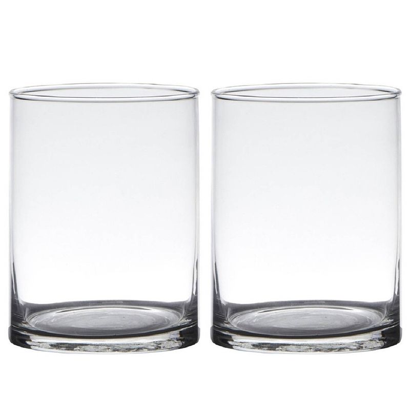 Foto van Set van 2x stuks transparante home-basics cylinder vorm vaas/vazen van glas 20 x 12 cm - vazen