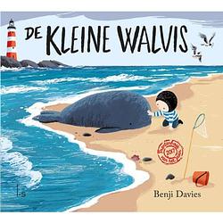 Foto van De kleine walvis