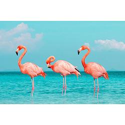 Foto van Inductiebeschermer - drie flamingo'ss - 60x60 cm