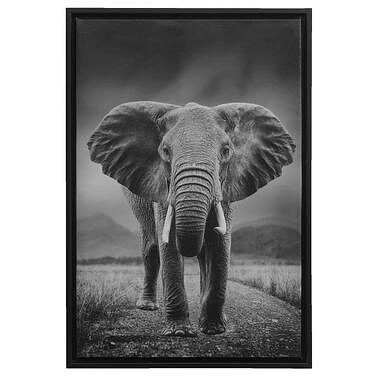 Foto van Schilderij olifant - zwart - 64x44x4 cm - leen bakker