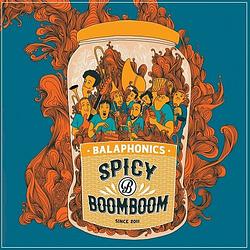 Foto van Spicy boom boom - lp (3521381566253)