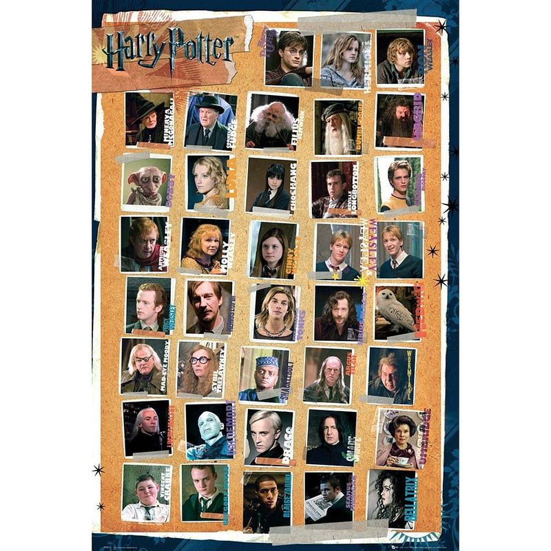 Foto van Gbeye harry potter 7 characters deco panel 60x90cm