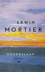 Foto van Godenslaap - erwin mortier - ebook (9789023442981)