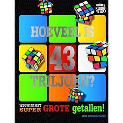 Foto van Hoeveel is 43 triljoen? - rubik's kubus