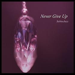 Foto van Never give up - cd (3760231766812)