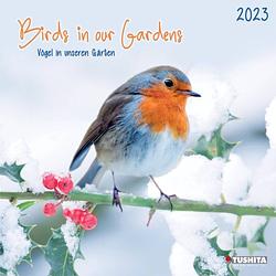 Foto van Birds in our garden kalender 2023