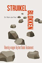 Foto van Struikelblokken - m.j. paul - ebook (9789087183103)