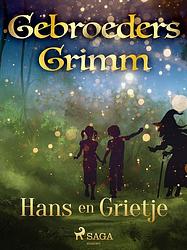 Foto van Hans en grietje - de gebroeders grimm - ebook