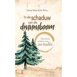 Foto van In de schaduw van de dennenboom