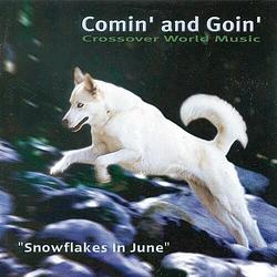 Foto van Snowflakes in june - cd (9006639101218)