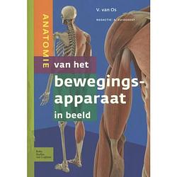 Foto van Anatomie van het bewegingsapparaat in beeld