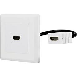 Foto van Renkforce rf-4538136 hdmi adapter [1x hdmi-bus - 1x hdmi-bus] wit vergulde steekcontacten 15.00 cm