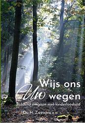 Foto van Wijs ons uw wegen - ebook (9789087188719)