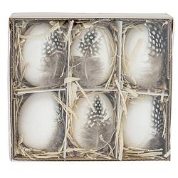 Foto van Set van 6x stuks kunststof paaseitjes wit met veren 6 cm - feestdecoratievoorwerp