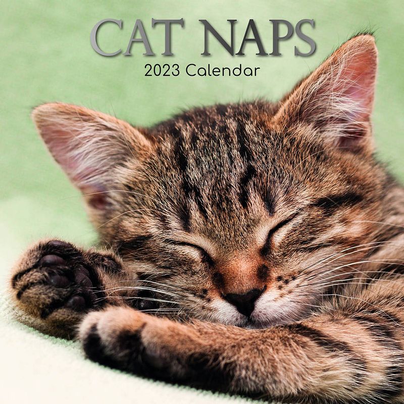 Foto van Cat naps kalender 2023