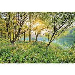 Foto van Komar spring lake fotobehang national geographic 368x254cm 8-delen