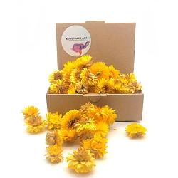 Foto van Packlinq gedroogde strobloemen geel (40 gram)