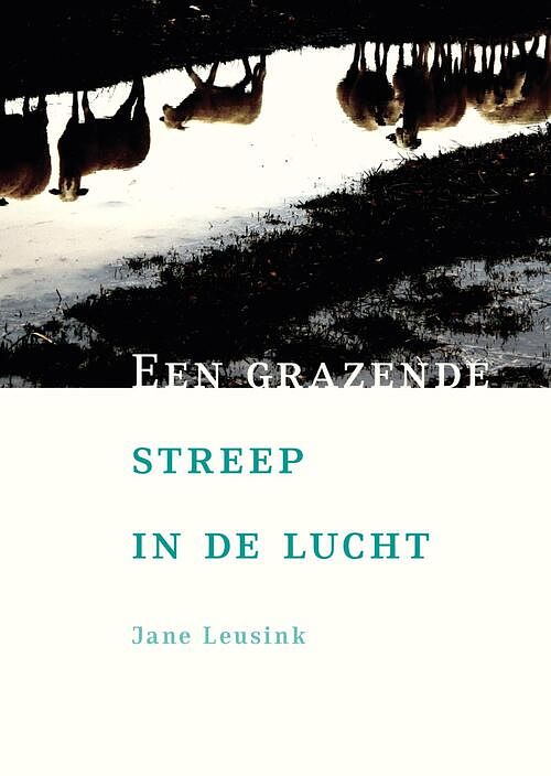 Foto van Een grazende streep in de lucht - jane leusink - ebook (9789492190093)