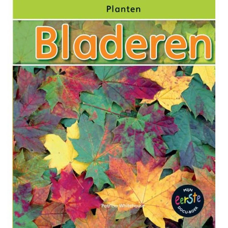 Foto van Bladeren - planten