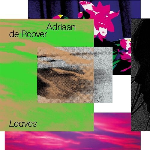 Foto van Leaves - cd (3481575335730)