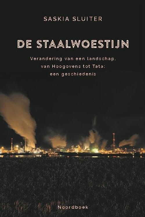 Foto van De staalwoestijn - saskia sluiter - paperback (9789464710632)