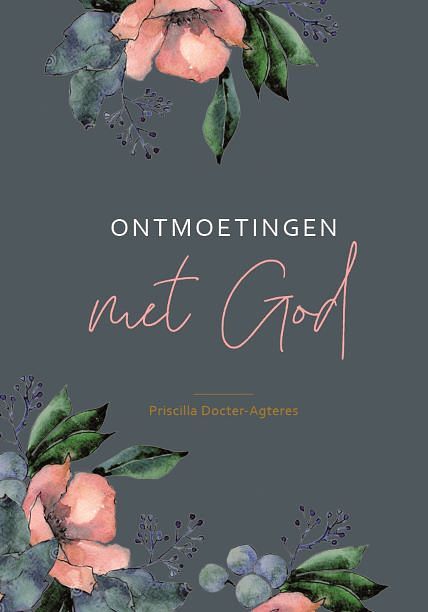 Foto van Ontmoetingen met god - priscilla docter- agteres - hardcover (9789083114958)