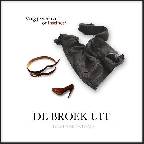 Foto van De broek uit - david brandsma - ebook (9789462170711)