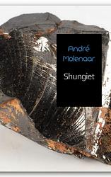 Foto van Shungiet - andré molenaar - paperback (9789402129762)